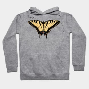 Eastern Tiger Swallowtail Hoodie